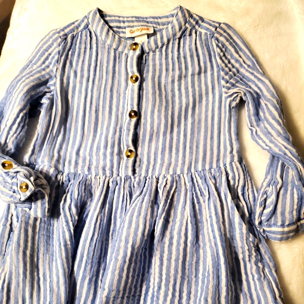 CAT &JACK 3T Girls 3T Dress